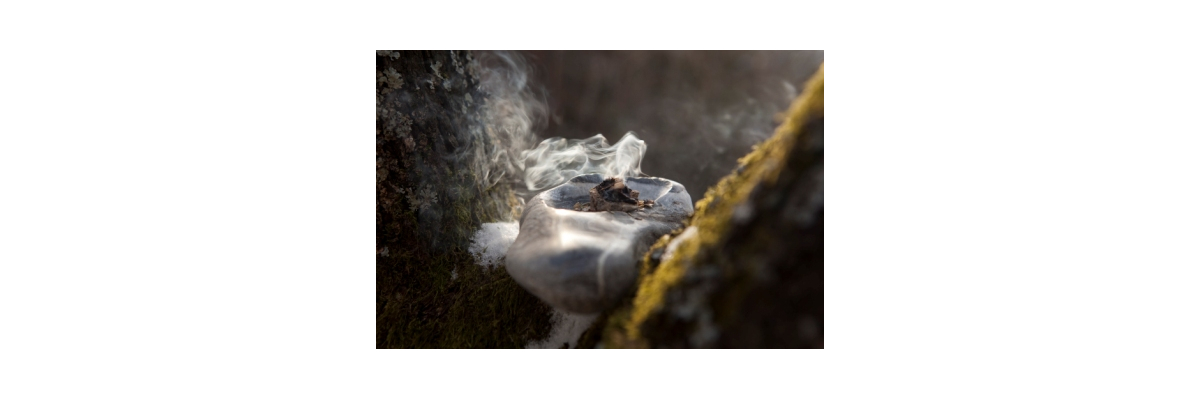 Die Natur in den Raunächten - was macht sie?  - Was tut sich in der Natur in den Raunächten bzw. Rauhnächten?
