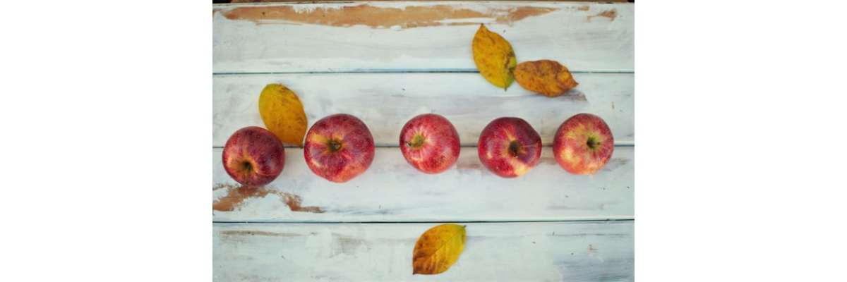 Herbst-Tagundnachtgleiche früher und die sinnhafte Bedeutung heute! - Herbst-Tagundnachtgleiche früher und die sinnhafte Bedeutung heute!